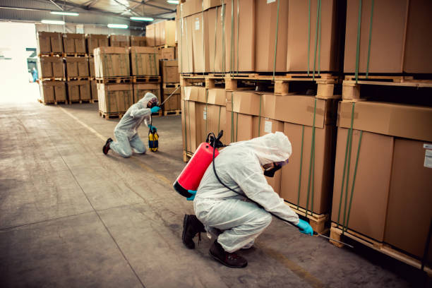 Best Rat Extermination Near Me  in Coburg, OR