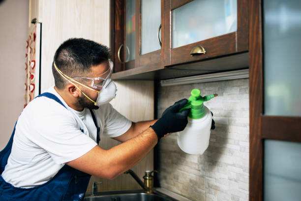 Best Wildlife Control Services  in Coburg, OR