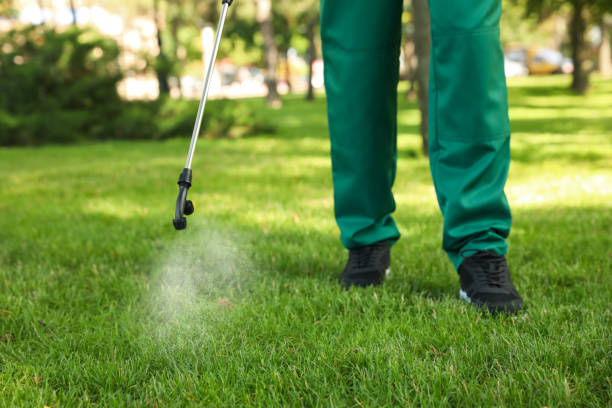 Best Mosquito Control Services  in Coburg, OR