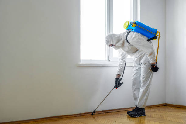Best Local Pest Control Services  in Coburg, OR