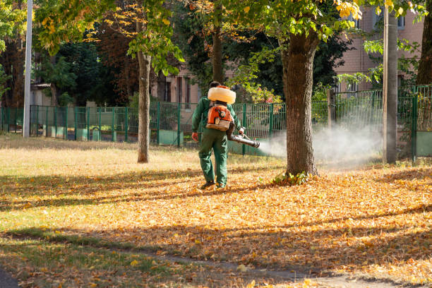 Best Cockroach Control Services  in Coburg, OR