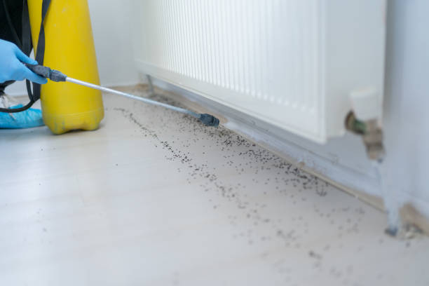 Best Best Pest Control Companies  in Coburg, OR